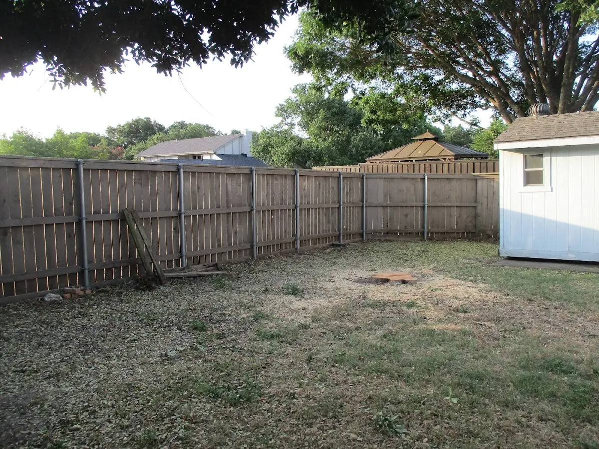 Cleared yard after professional tree removal in Dillsboro