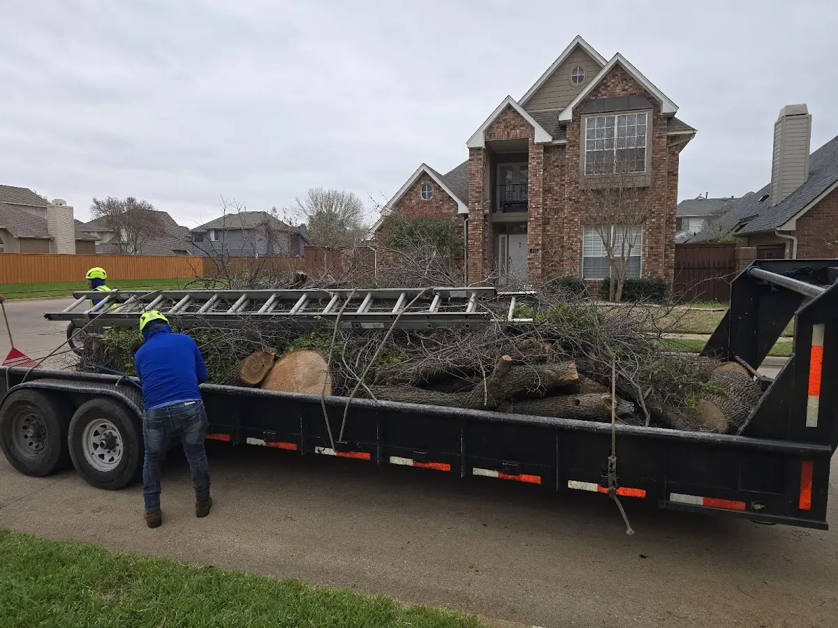 Expert Tree Pest Control with proper safety equipment in Dillsboro